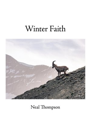cover image of Winter Faith
